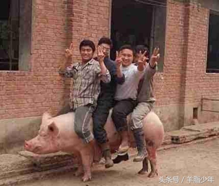 微博水很深傻根你怎么赚微博的银子