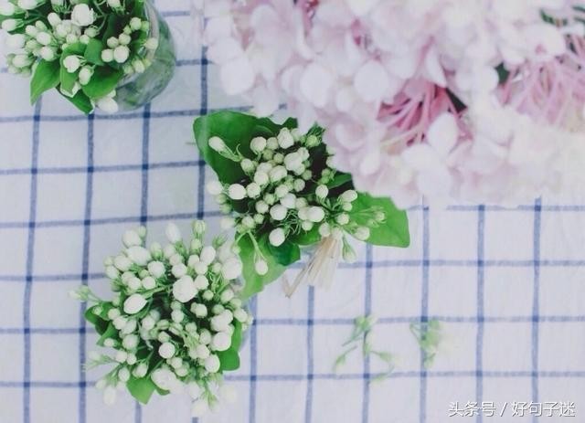 微信朋友圈最走心的爱情语录短句网络很流行很火！