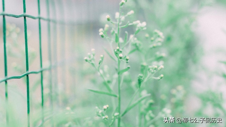 在微信里谈情说爱你仿佛看到了爱情最初的样子纯粹又美好！