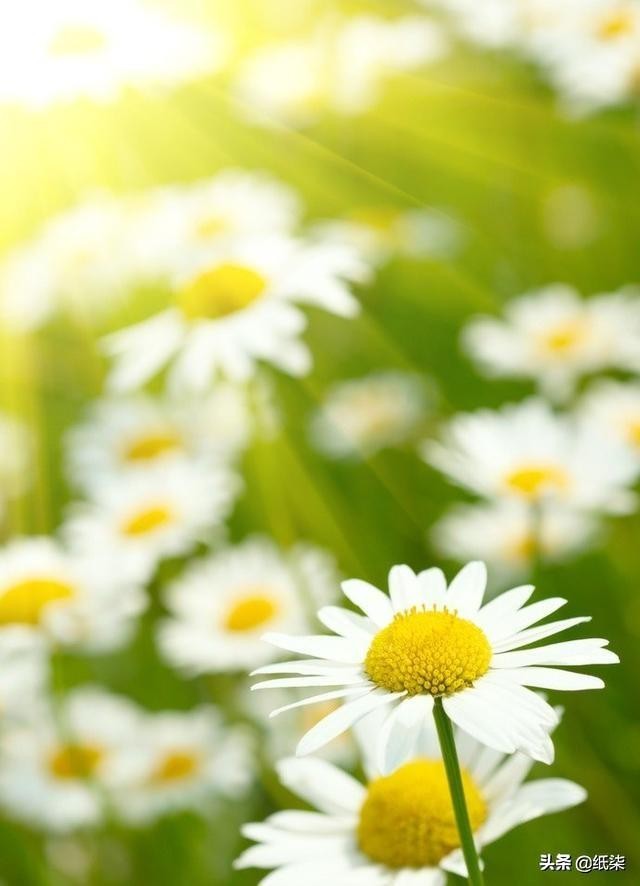 微信式恋爱聊得来爱不起