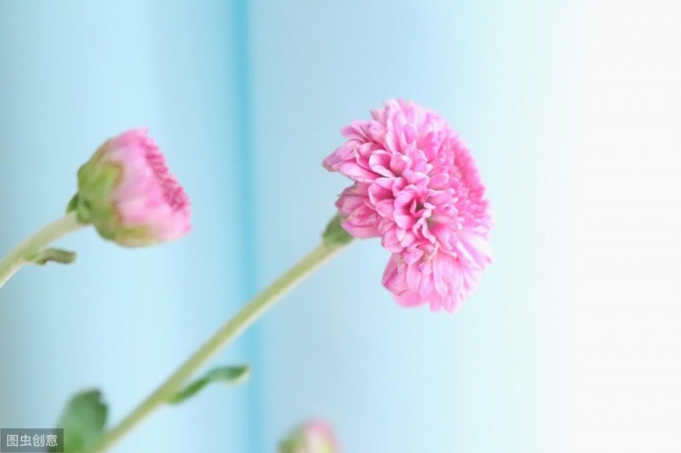 20个伤感爱情句子：一删微信便是永别愿你天黑有灯下雨有伞